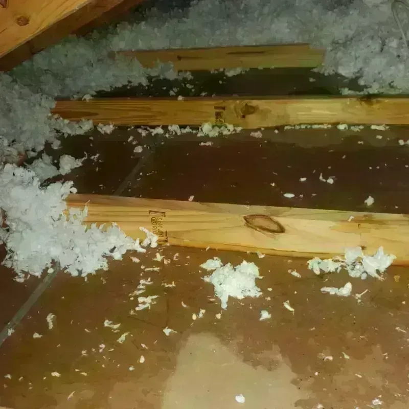 Attic Water Damage in Ferguson, MO